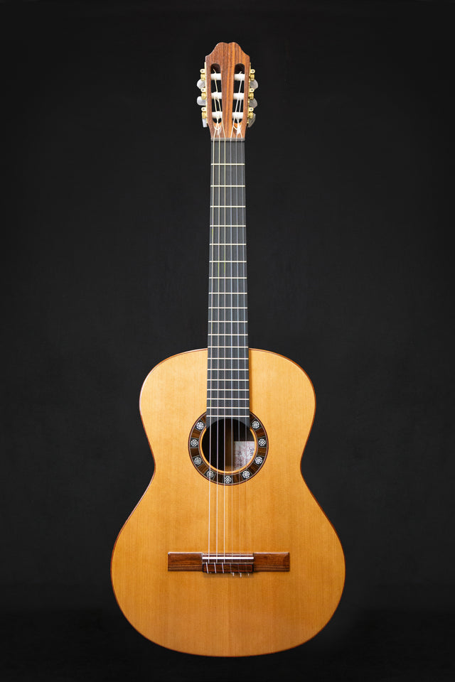 Jon Pinsky Handmade Classical Acoustic No.29