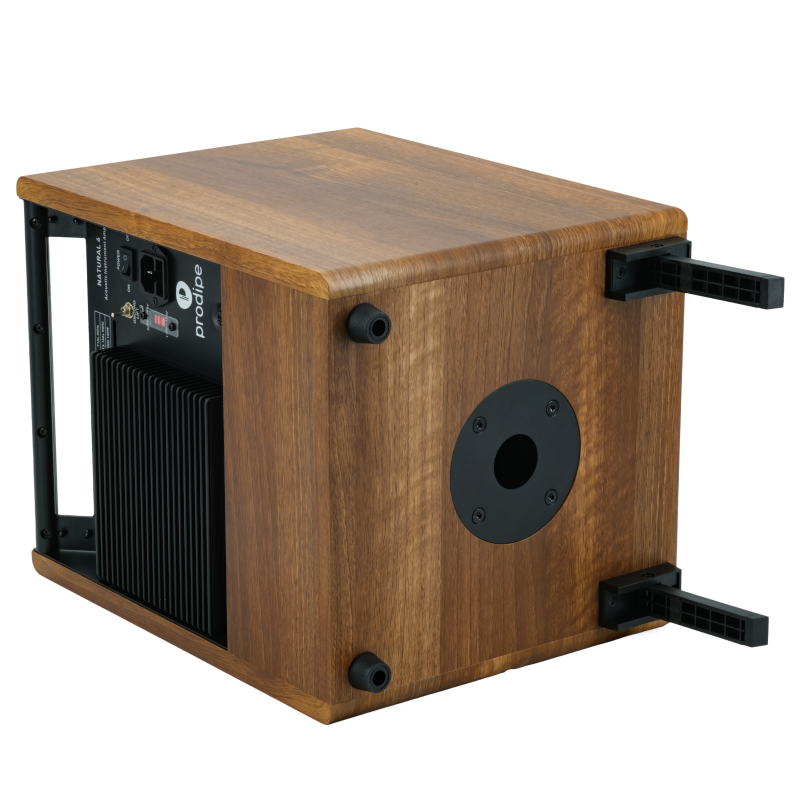 Prodipe Natural 6 V2 Walnut Wood Acoustic Amp