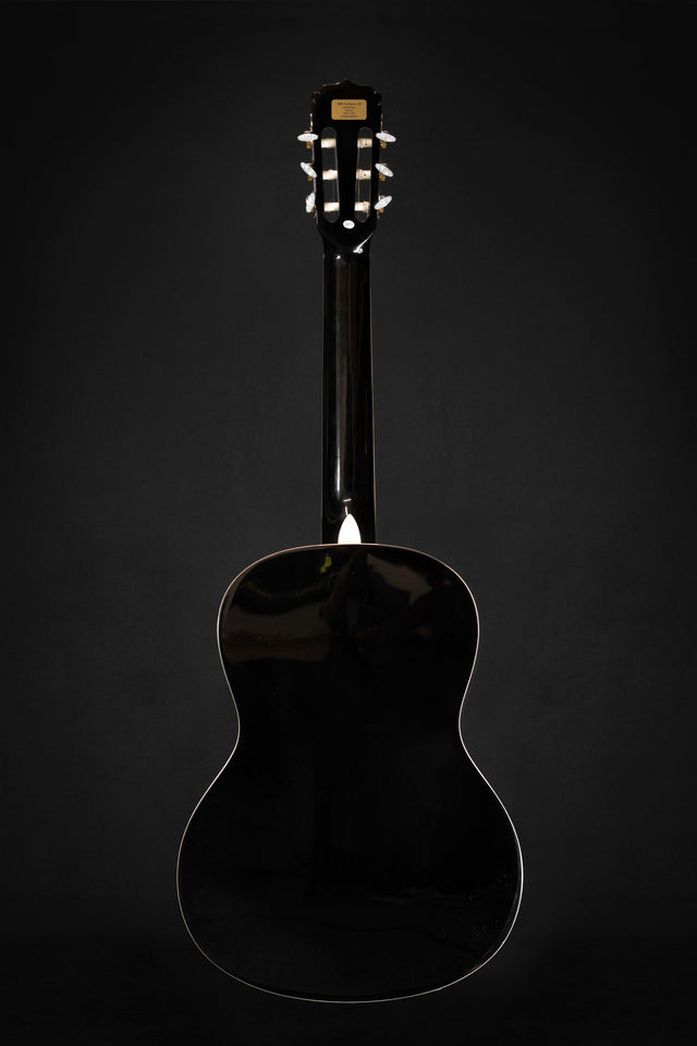 Aria FST-200 Fiesta Full Size Classical Starter Guitar - Classical Guitars - Aria