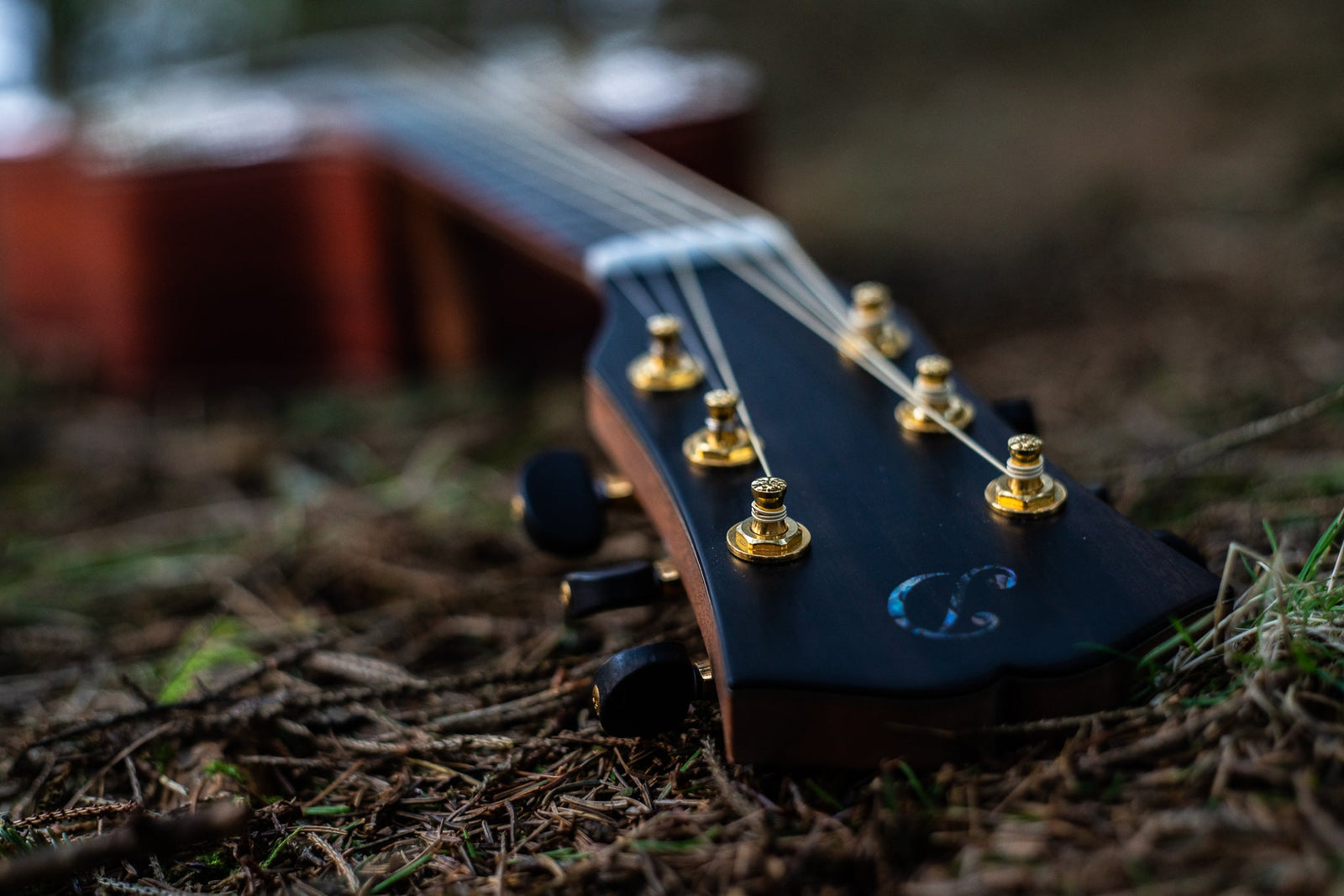 The Craftsmanship and Sustainability of Dowina Guitars: A Unique Perspective in the Acoustic Guitar Industry - WM Guitars