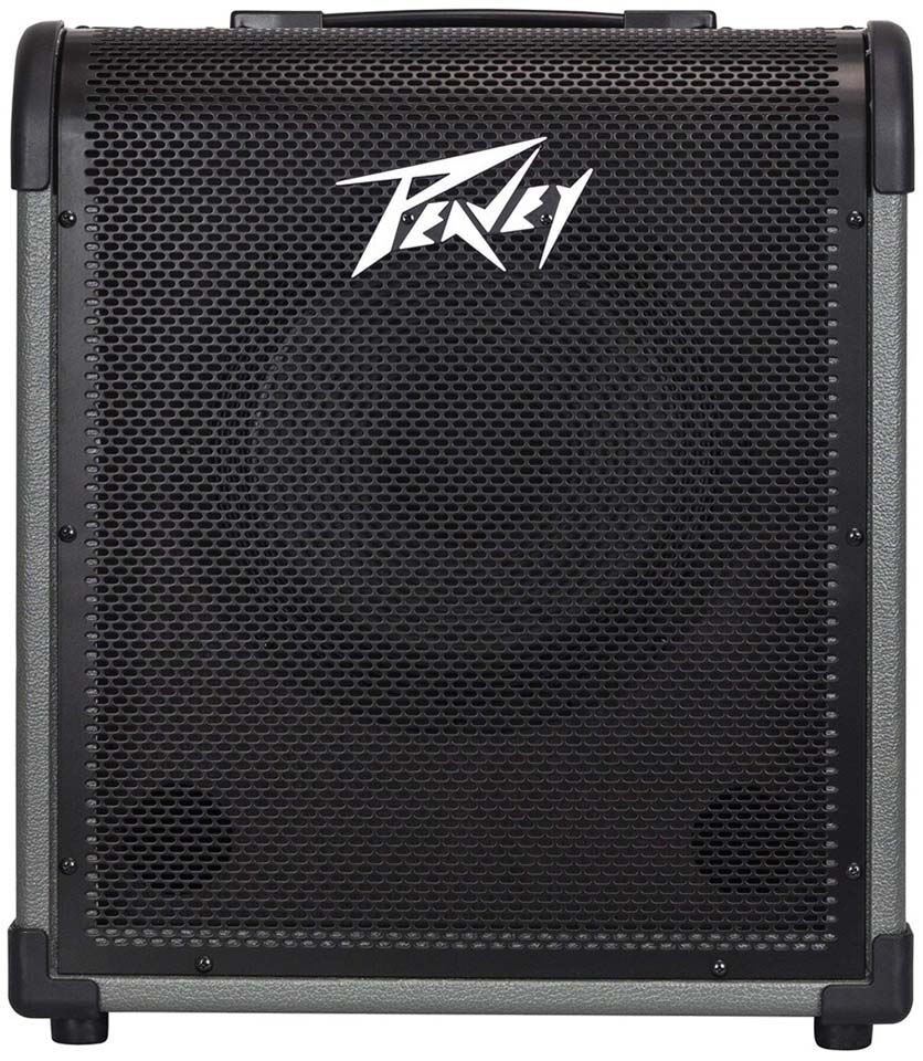 Bass Amps - WM Guitars