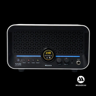 Mooer - WM Guitars