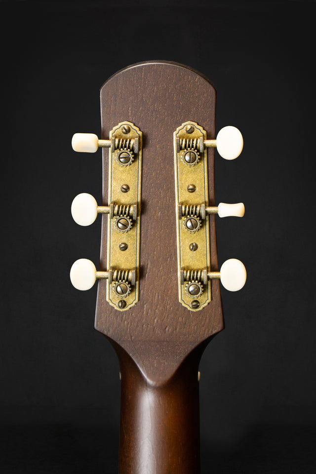 Iris DF Burst Model Sloped Shouldered Dreadnaught Acoustic Guitar