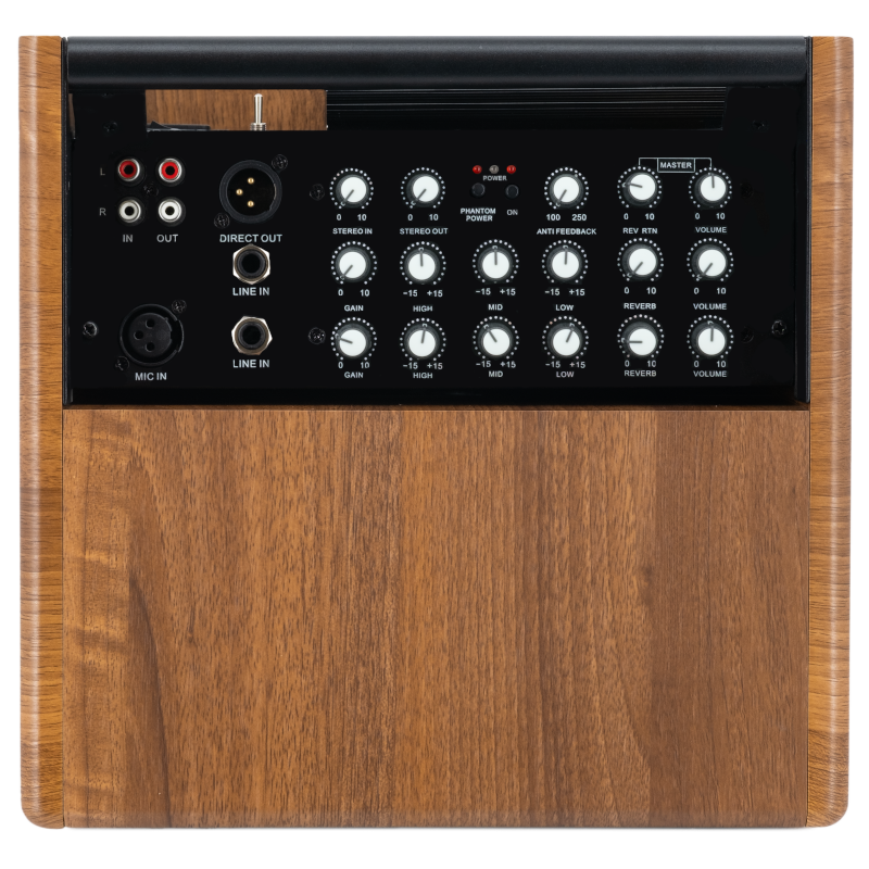 Prodipe Natural 5 V2 Walnut Wood Acoustic Amp