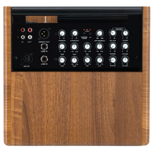 Prodipe Natural 5 V2 Walnut Wood Acoustic Amp