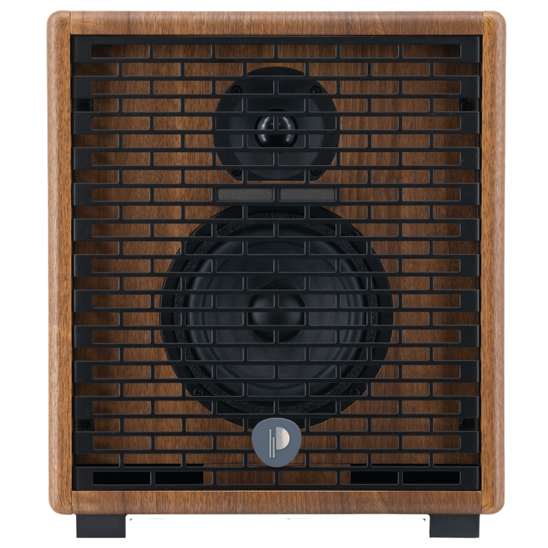 Prodipe Natural 5 V2 Walnut Wood Acoustic Amp