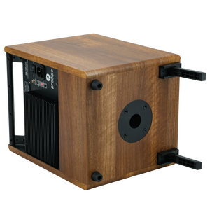 Prodipe Natural 6 V2 Walnut Wood Acoustic Amp