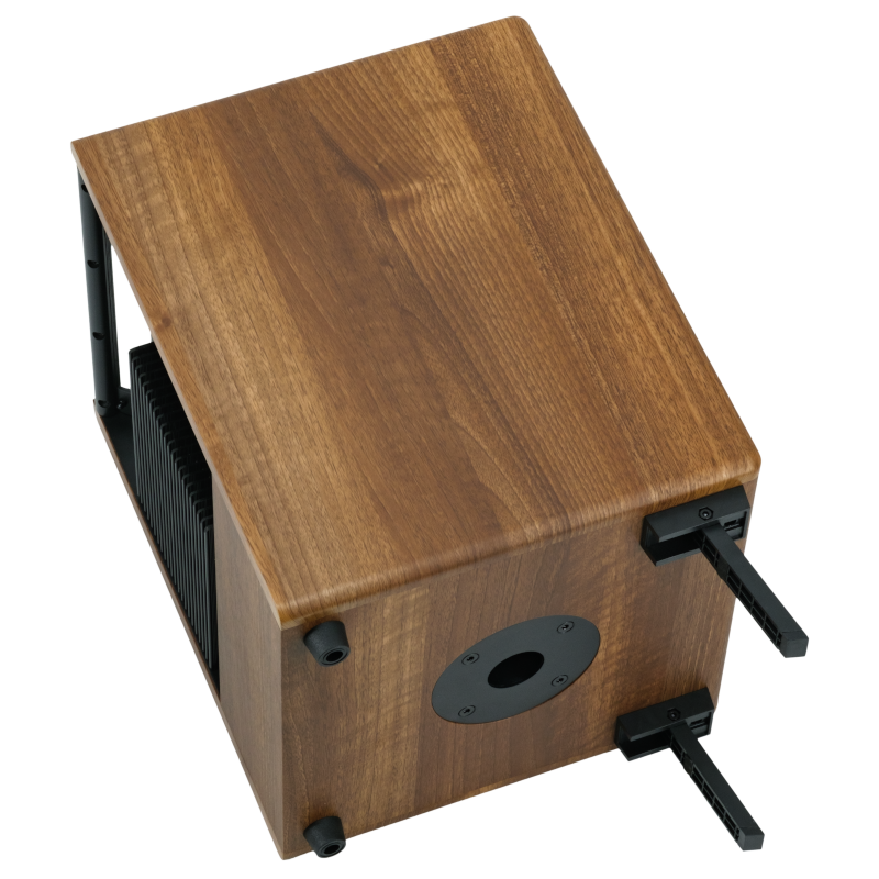 Prodipe Natural 6 V2 Walnut Wood Acoustic Amp