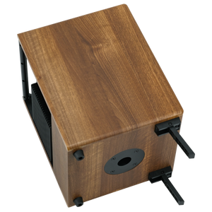 Prodipe Natural 6 V2 Walnut Wood Acoustic Amp