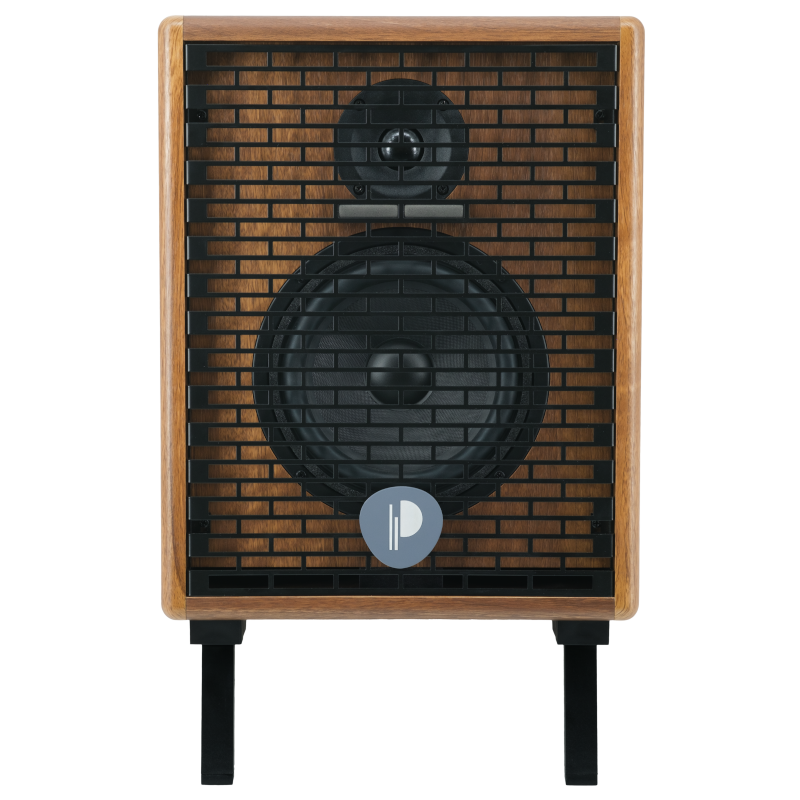 Prodipe Natural 6 V2 Walnut Wood Acoustic Amp