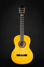 Aria FST-200 Fiesta Full Size Classical Starter Guitar - Classical Guitars - Aria