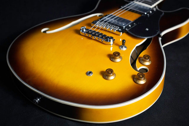 Aria TA-Classic Semi Hollow Archtop Guitar - Semi-Hollow - Aria