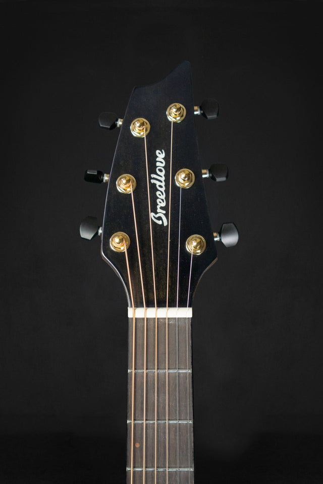 Breedlove Performer Pro Series Concert Thinline Aged Toner CE - Acoustic Guitars - Breedlove