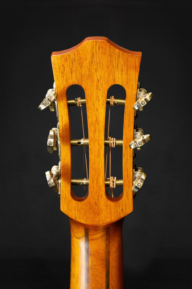 Bromo BAR6E Parlour Electro Acoustic Guitar - Acoustic Guitars - Bromo