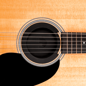 D'Addario Screeching Halt Acoustic Soundhole Cover - Accessories - D'Addario
