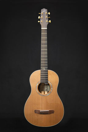 Dowina Cocobolo III BV Master Series Parlour Acoustic Guitar (Cedar & Cocobolo) - Acoustic Guitars - Dowina