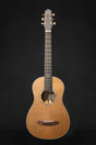 Dowina Cocobolo III BV Master Series Parlour Acoustic Guitar (Cedar & Cocobolo) - Acoustic Guitars - Dowina