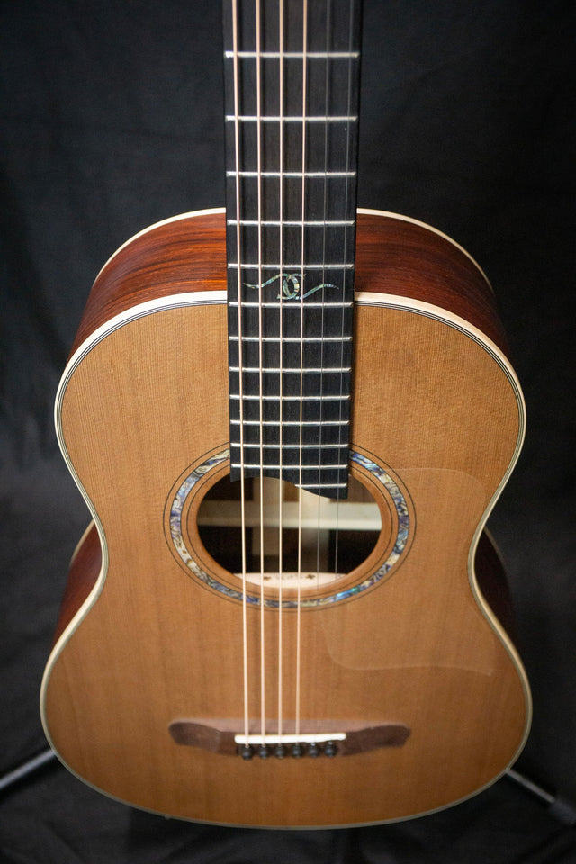 Dowina Cocobolo III BV Master Series Parlour Acoustic Guitar (Cedar & Cocobolo) - Acoustic Guitars - Dowina