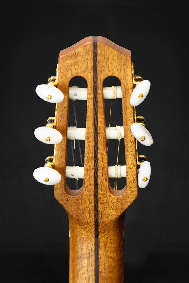 Dowina Cocobolo OM - H Master Series Hybrid Guitar (Cedar & Cocobolo) - Acoustic Guitars - Dowina