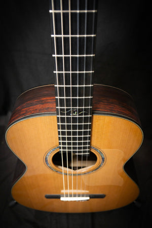 Dowina Cocobolo OM - H Master Series Hybrid Guitar (Cedar & Cocobolo) - Acoustic Guitars - Dowina
