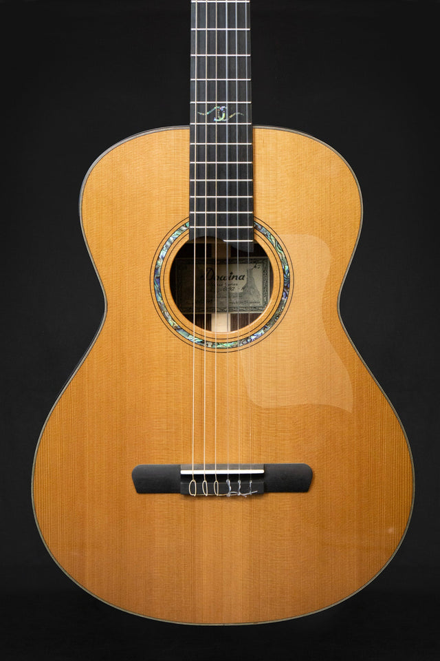 Dowina Cocobolo OM - H Master Series Hybrid Guitar (Cedar & Cocobolo) - Acoustic Guitars - Dowina