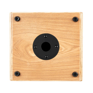 ORTEGA CONE ASH Acoustic Amplifier Combo