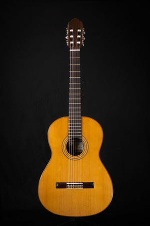 Esteve 3Z Handmade Classical Guitar - Classical Guitars - Esteve