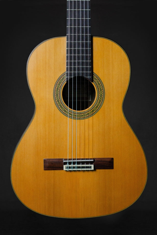 Esteve 5 Handmade Classical Guitar - Classical Guitars - Esteve