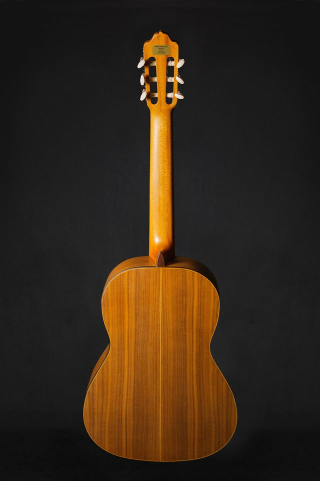 Esteve 5 Handmade Classical Guitar - Classical Guitars - Esteve