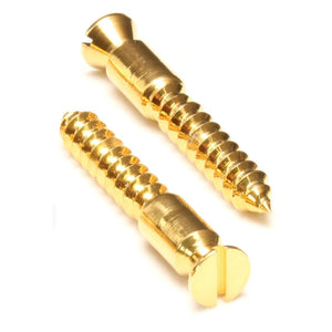 Floyd Rose Pivot Screw (Gold) - Parts - Floyd Rose