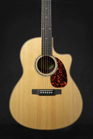 Larrivée LV-09 Artist Series Acoustic Guitar - Acoustic Guitars - Larrivee