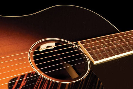 LR Baggs Anthem SL Classical Guitar Pickup and Microphone - Pickups - LR Baggs