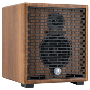 Prodipe Natural 5 V2 Walnut Wood Acoustic Amp