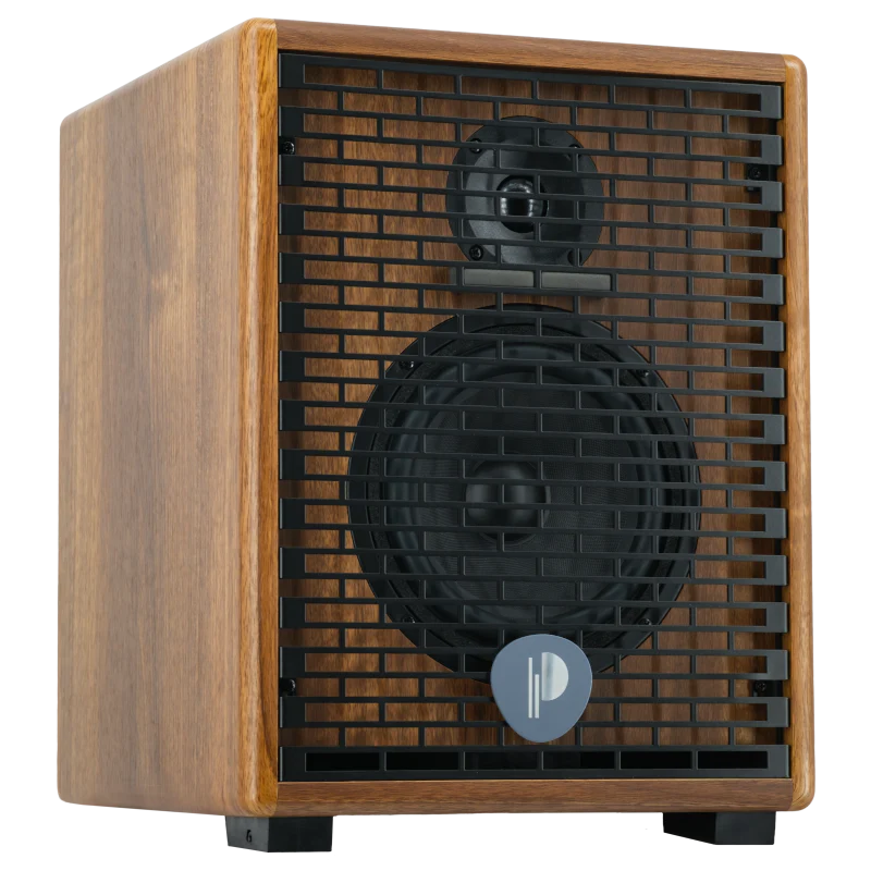 Prodipe Natural 6 V2 Walnut Wood Acoustic Amp