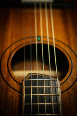 O'Gorman MOIR Masterbuild Acoustic Guitar - Acoustic Guitars - O'Gorman