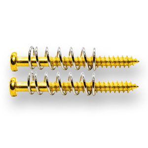 Pickup Screws & Springs (Gold) x 2 - WM Guitars