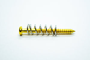 Pickup Screws & Springs (Gold) x 2 - WM Guitars