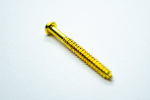 Pickup Screws & Springs (Gold) x 2 - WM Guitars