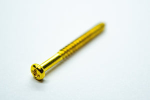 Pickup Screws & Springs (Gold) x 4 - Parts - WM Guitars