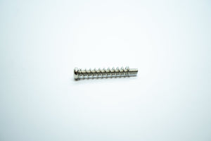 Pickup Screws & Springs (Nickel) x 2 - WM Guitars