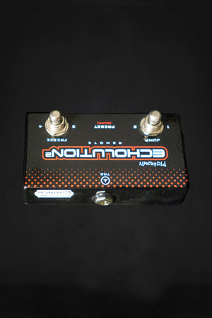 Pigtronix Echolution 2 w/ Remote Effects Pedal - Effects Pedals - Pigtronix