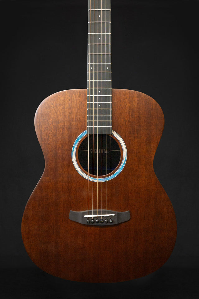 Tanglewood Elemental TE 3BL Acoustic Guitar - Acoustic Guitars - Tanglewood