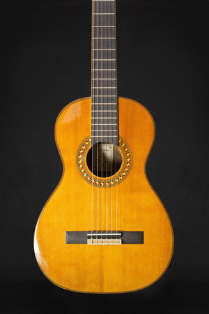 Tanglewood EM D4 Enredo Madera Dominar Parlour Classical - Classical Guitars - Tanglewood