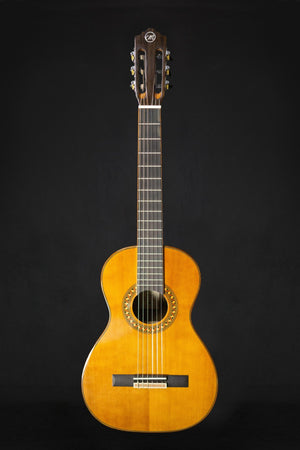 Tanglewood EM D4 Enredo Madera Dominar Parlour Classical - Classical Guitars - Tanglewood