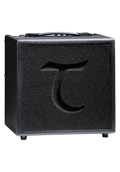 Tanglewood T6 Acoustic Amp + TXS T6 Extension Cab | CLEARANCE SALE - Amps - Tanglewood