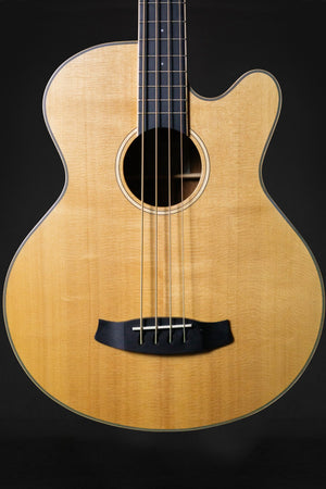 Tanglewood TW8 E AB Electro-Acoustic Bass - Bass Guitars - Tanglewood