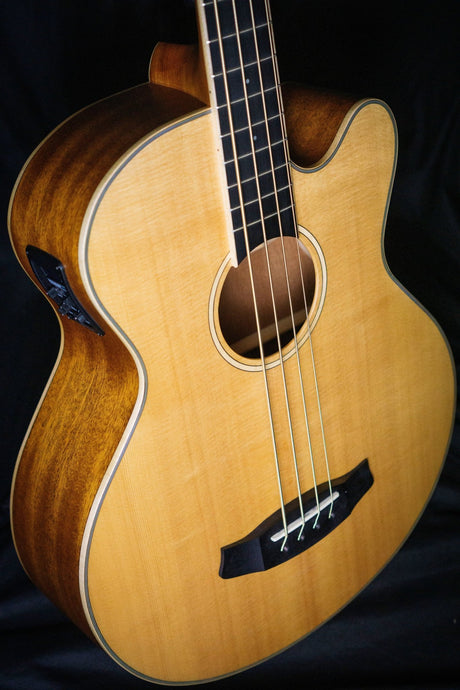 Tanglewood TW8 E AB Electro-Acoustic Bass - Bass Guitars - Tanglewood