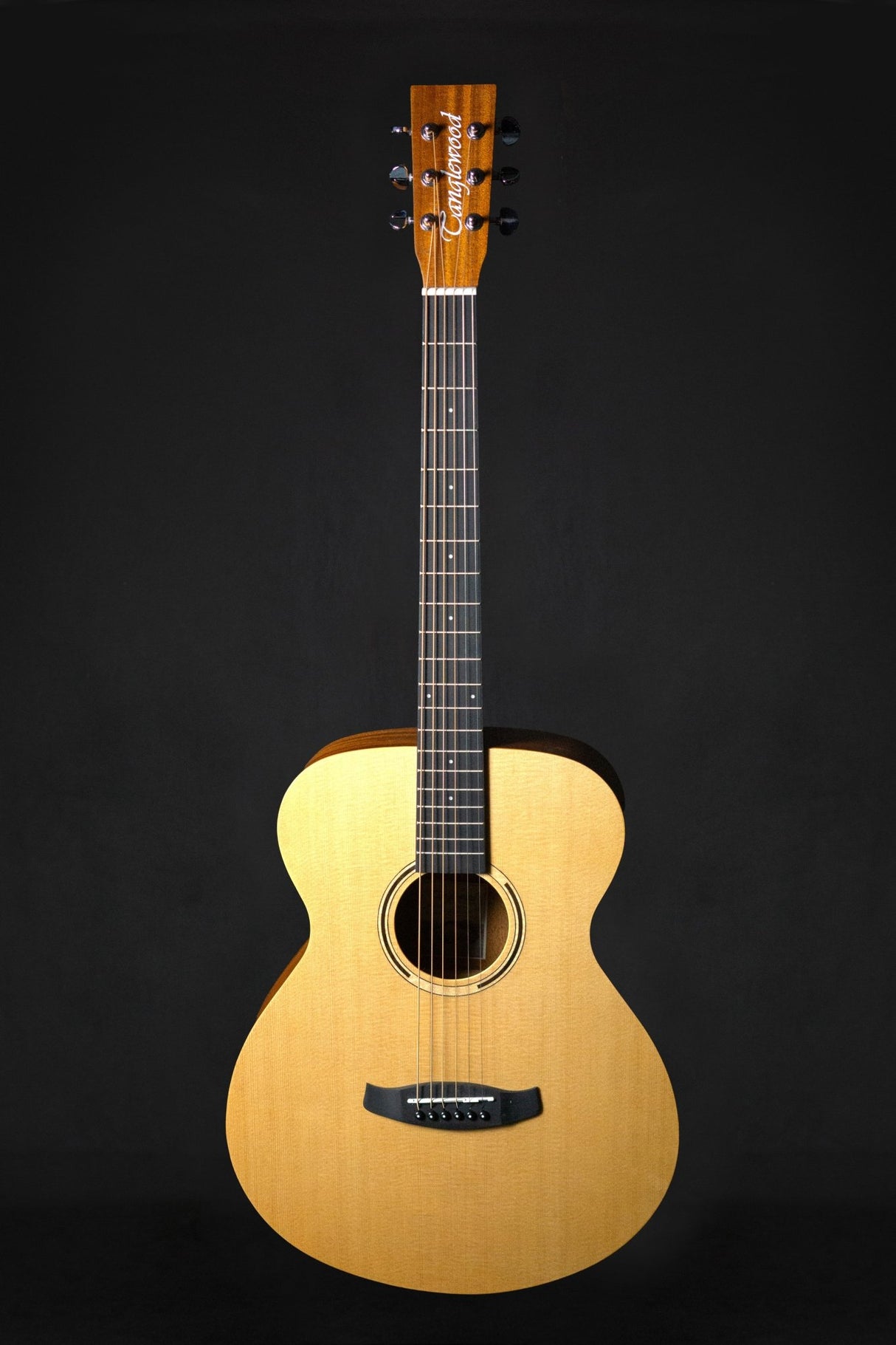 Tanglewood TWR2 OE Electro-Acoustic Guitar - Acoustic Guitars - Tanglewood